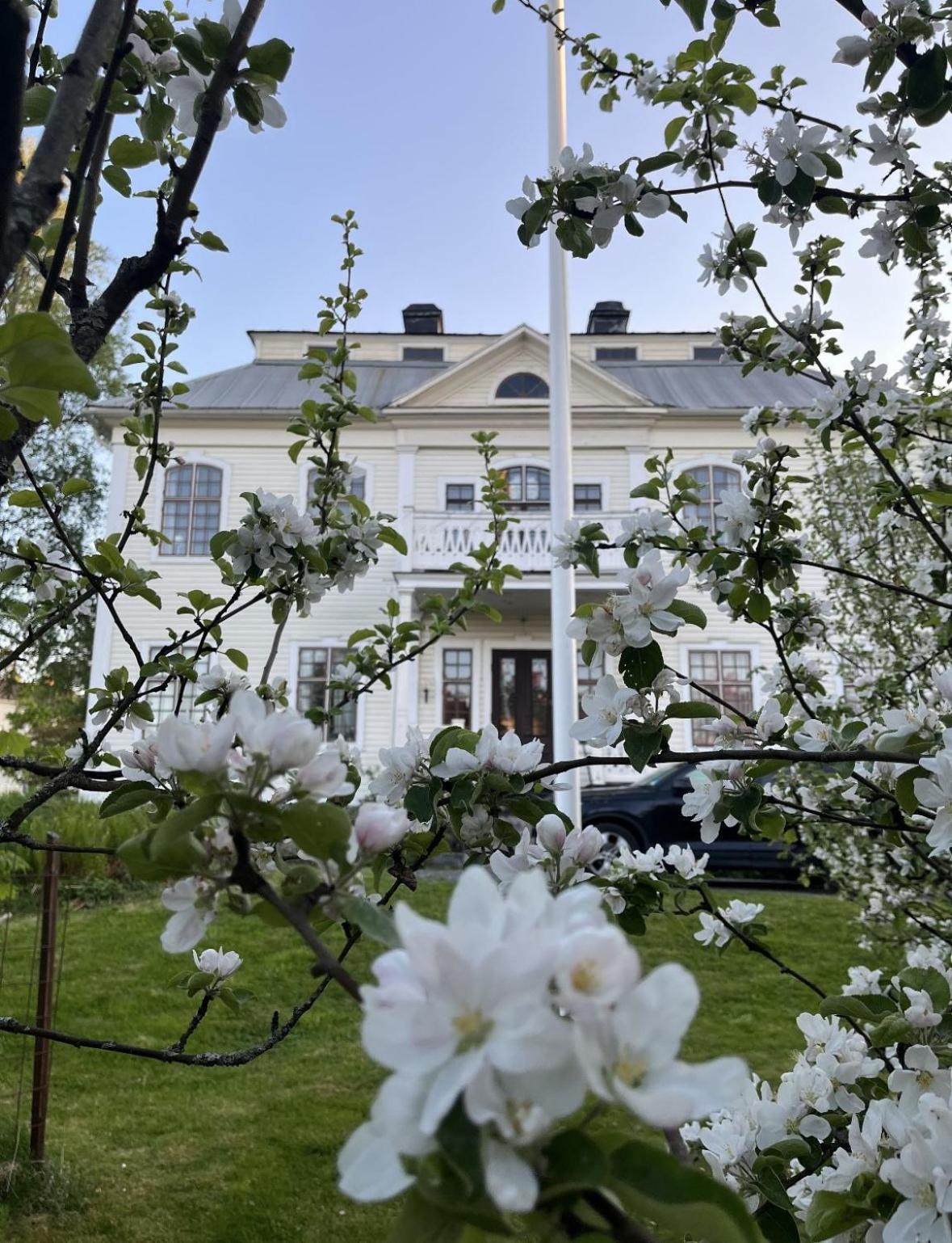 Laegenhet I Sekelskifteshus Härnösand 外观 照片